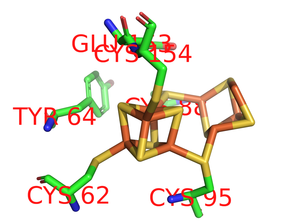 Iron binding site 11 out of 30 in 1fp4 Iron binding site 11 out of 30 in 1fp4