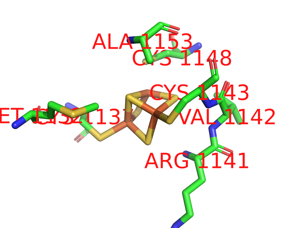 Iron binding site 6 out of 6 in 1ofd Iron binding site 6 out of 6 in 1ofd
