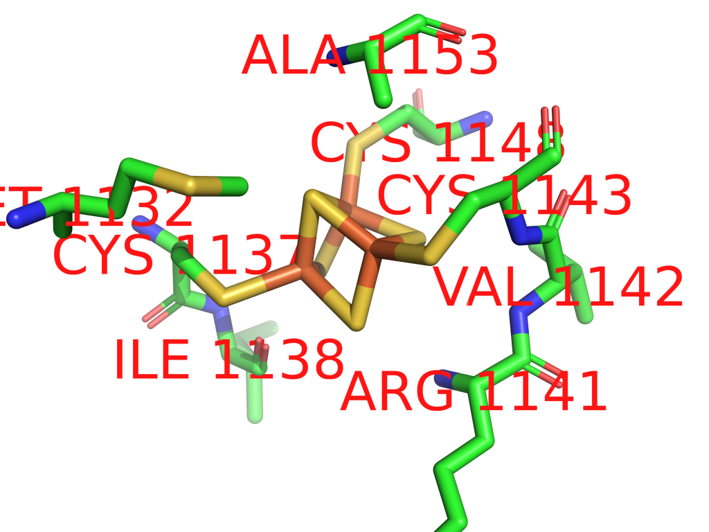 Iron binding site 5 out of 6 in 1ofe Iron binding site 5 out of 6 in 1ofe