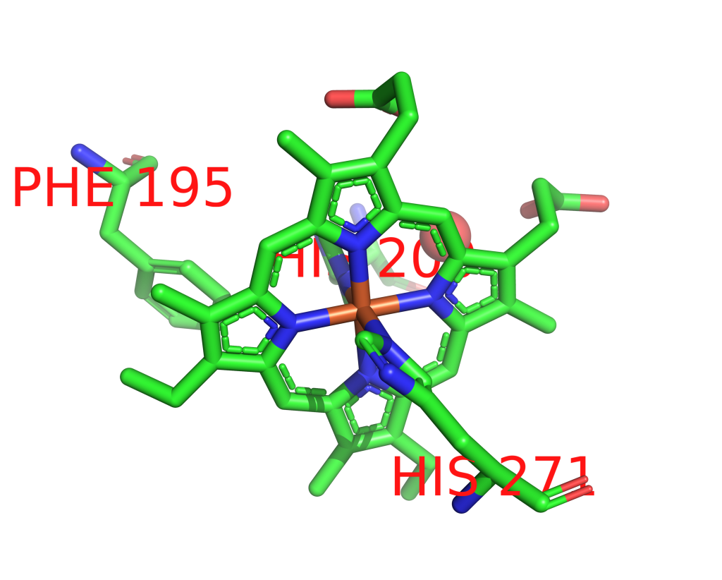 Iron binding site 8 out of 18 in 1ofw Iron binding site 8 out of 18 in 1ofw