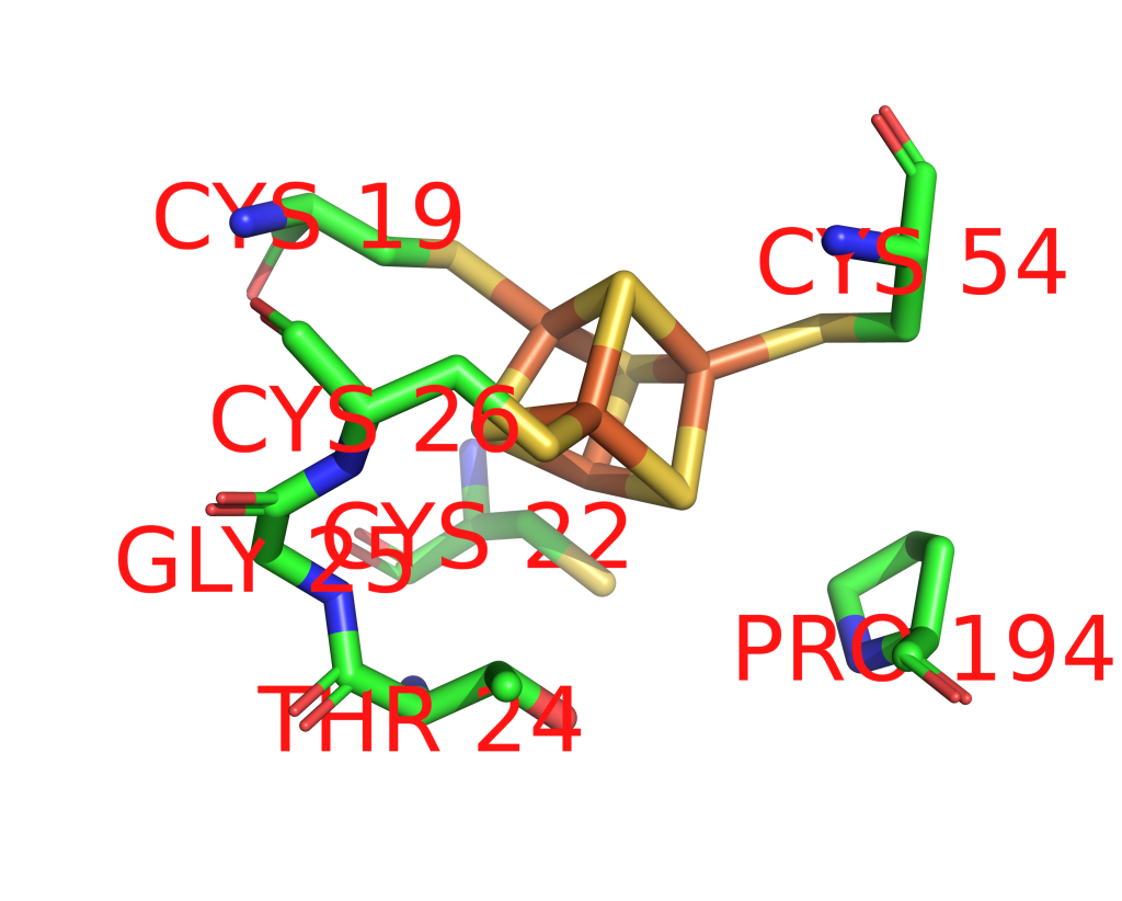 Iron binding site 7 out of 48 in 1ogy Iron binding site 7 out of 48 in 1ogy