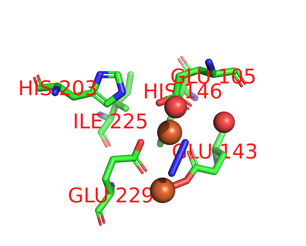 Iron binding site 5 out of 12 in 1oq4 Iron binding site 5 out of 12 in 1oq4