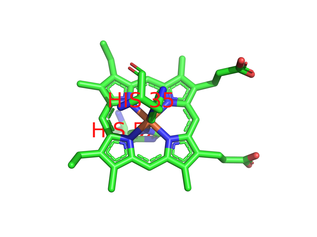 Iron binding site 2 out of 4 in 2yyx Iron binding site 2 out of 4 in 2yyx