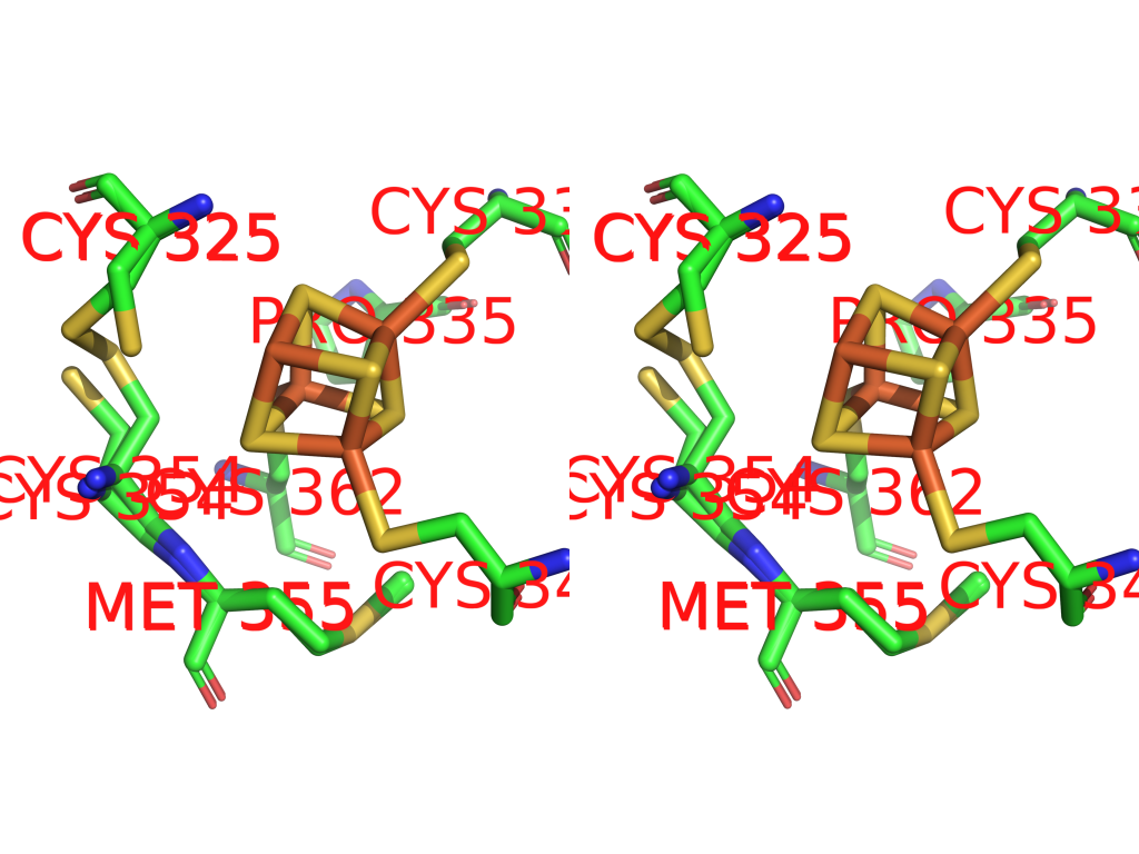 stereopicture of Iron binding site 1 out of 8 in 2z1d stereopicture of Iron binding site 1 out of 8 in 2z1d